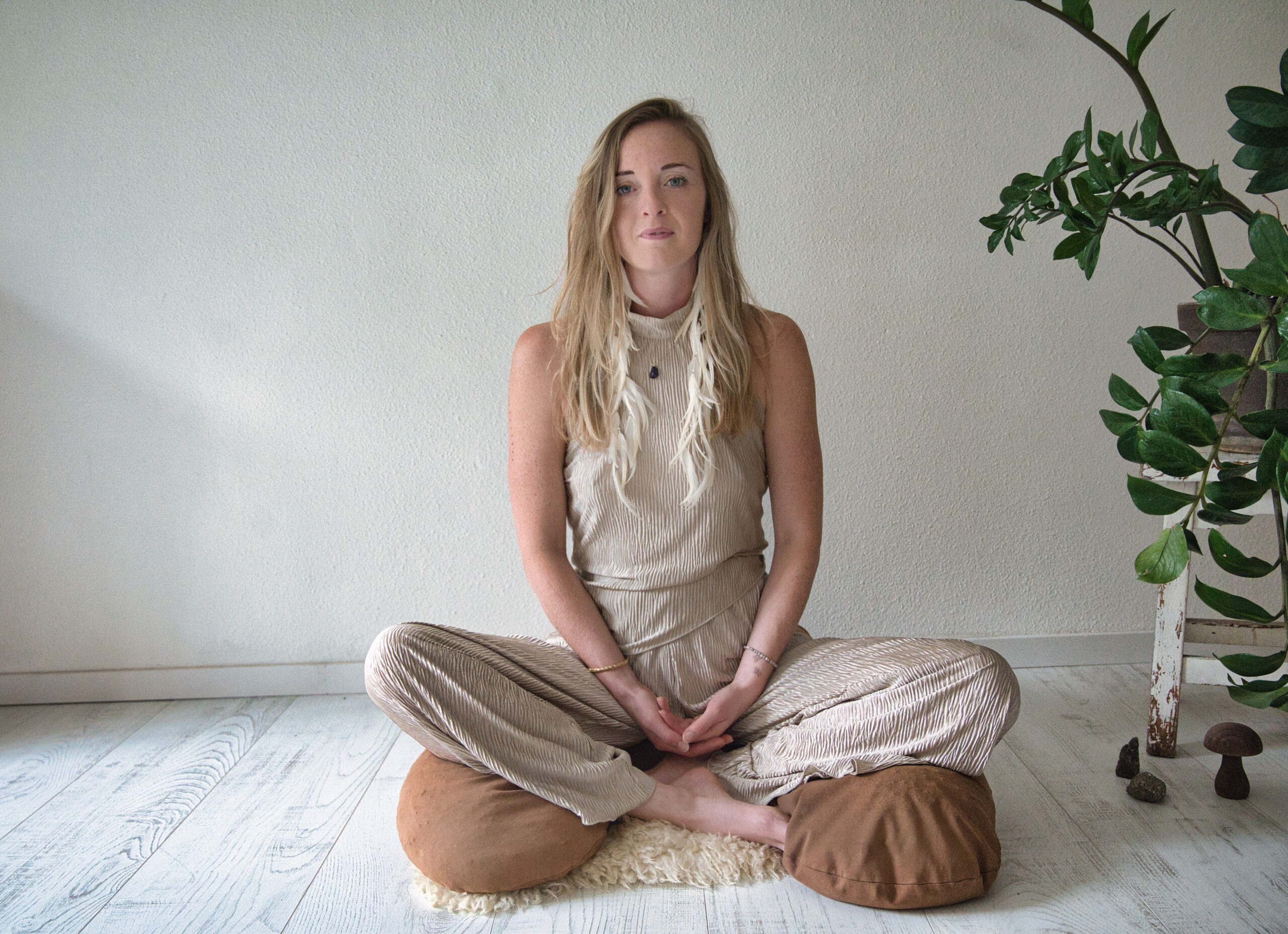 Romy van Rooy Kambo, Truffel, TVM